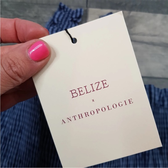 Belize Anthropologie Crop Top UK 16 US 12 Blue Gingham Checked Smocking BNWT - Picture 9 of 13